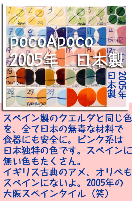 color20051105jp.jpg